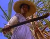 CINE ÁFRICA: SANKOFA