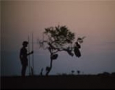 CINEMATÓGRAFO: A LONGA CAMINHADA