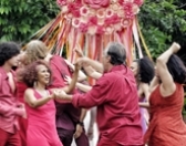 A MATRIARCA